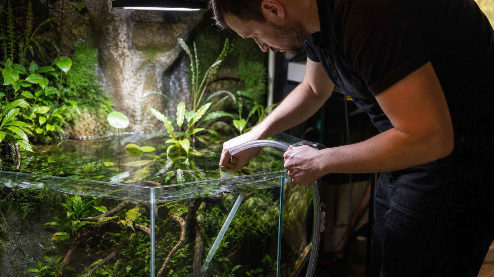 Mains taillant délicatement les plantes d'un aquascape à l'eau parfaitement claire lors de l'entretien